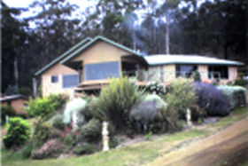 Maria Views Bed and Breakfast - Accommodation Daintree