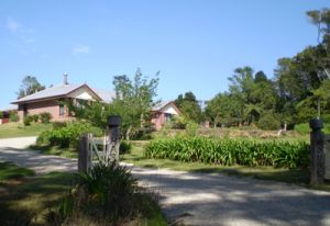 Hardy House Bed and Breakfast - Accommodation Daintree