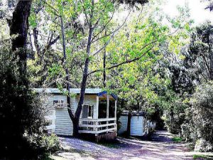 Flinders Caravan Park - Accommodation Daintree