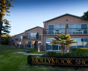 Mollymook Shores Motel - Accommodation Daintree