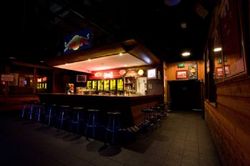 The Mustang Bar - Accommodation Daintree